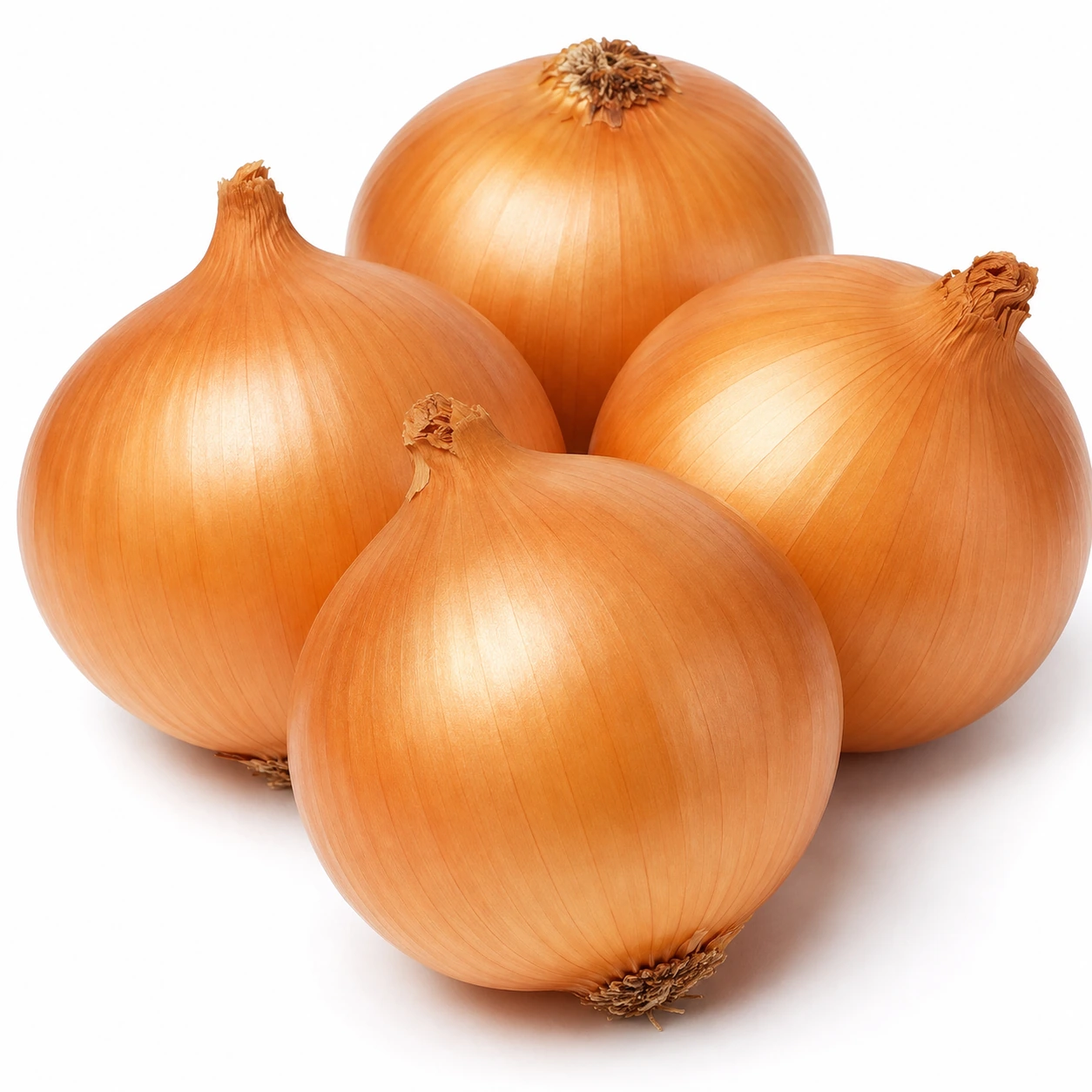 Big Onion