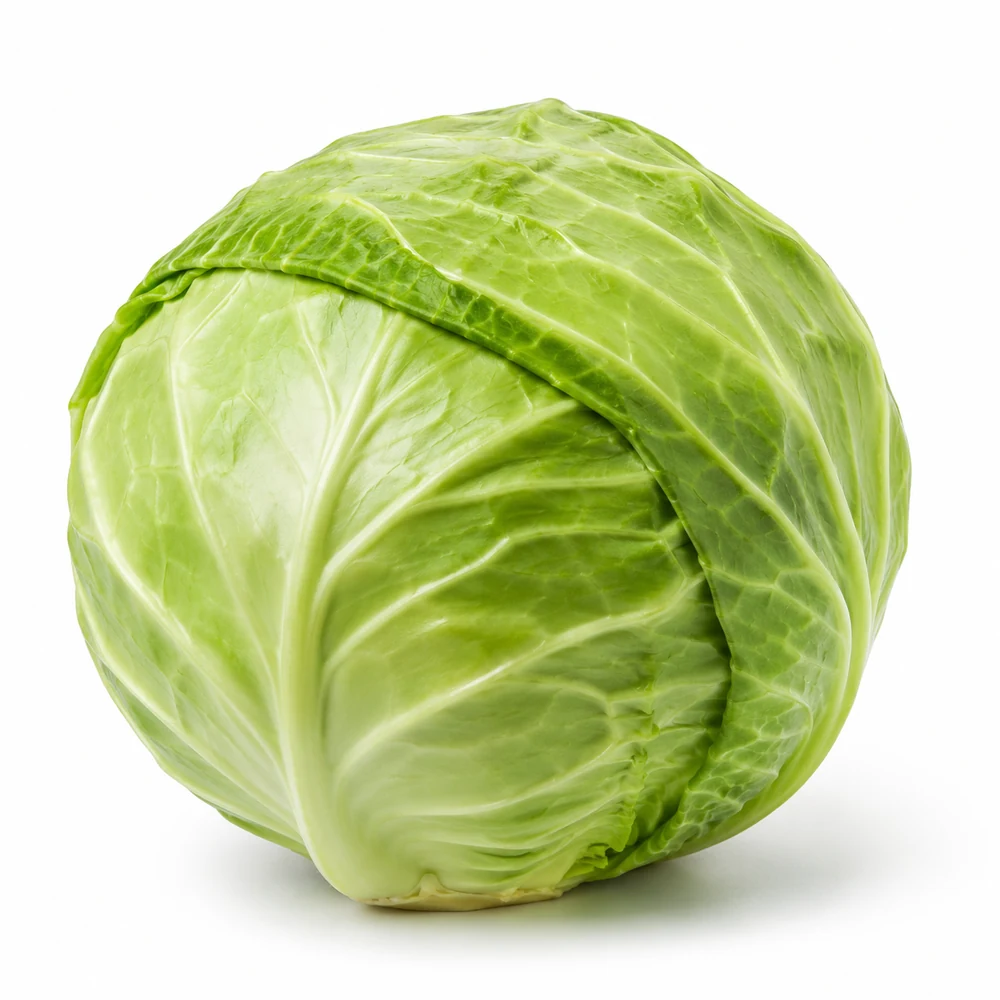 Cabbage