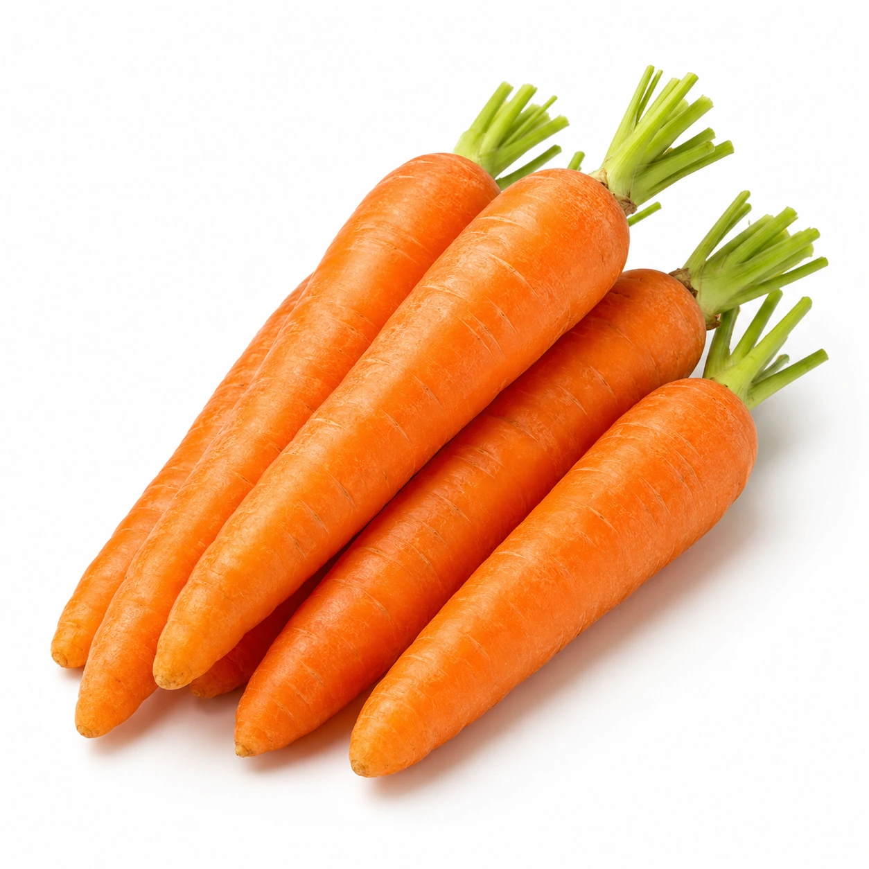 Carrot